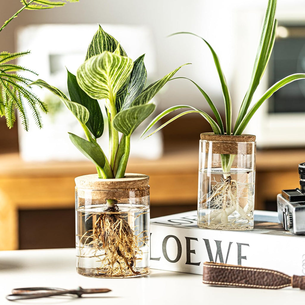 Glass Propagation Stations for Plants -Desktop Flower Vases,Propagation Flower Vases Set – 2 Large & 2 Small for Plant Cuttings，for Living Room, Bedroom Decoration,Home,Office Decor (4)