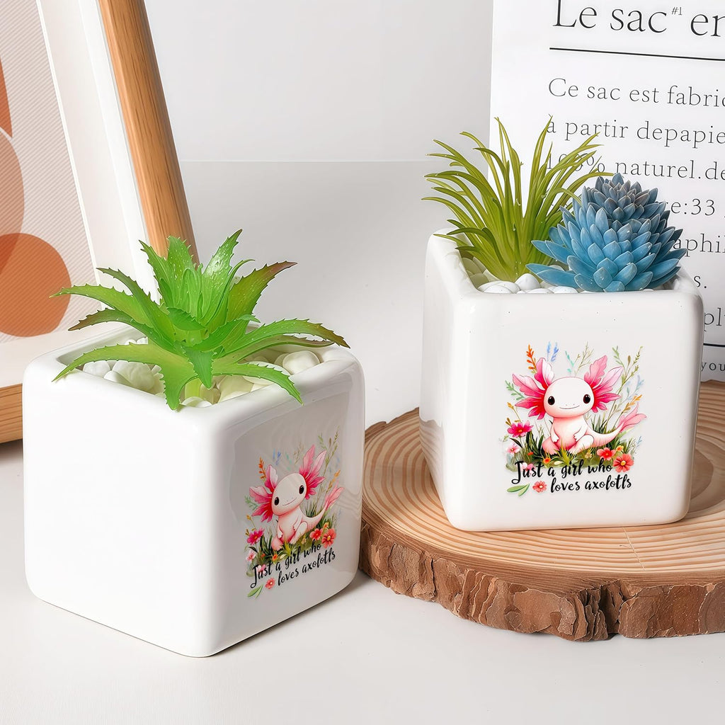 Axolotl Succulent Planter Flower Plant Pot Small, Gifts for Women Teens Girls Kids, Axolotl Lovers Themed Stuff Accessories Things Decor Merch, Home Office Table Desk Decoration!
