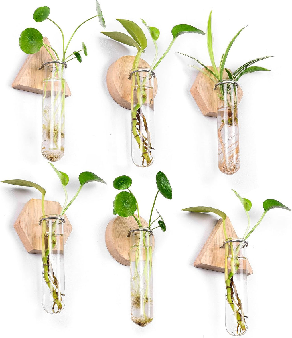 MITIME Wall Hanging Planter Glass Plant Propagation Station,Geometric Wooden Stand for Home Office Decoration.