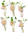 MITIME Wall Hanging Planter Glass Plant Propagation Station,Geometric Wooden Stand for Home Office Decoration.
