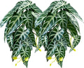 Woyrise 2 Pack Reptile Plants, Terrarium Hanging Plant Vines, Artificial Leaves with Suction Cup, Bearded Dragon Tank Accessories for Gecko Lizard Snake Frog Tortoise Decorations - Alocasia Velvet
