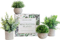 Artificial Plants for Home Decor Indoor. 4 Mini Plants, Rosemary Faux Plant Decor, Eucalyptus Plant, Grass Plants. Small Fake Shelf or Desk Greenery Décor