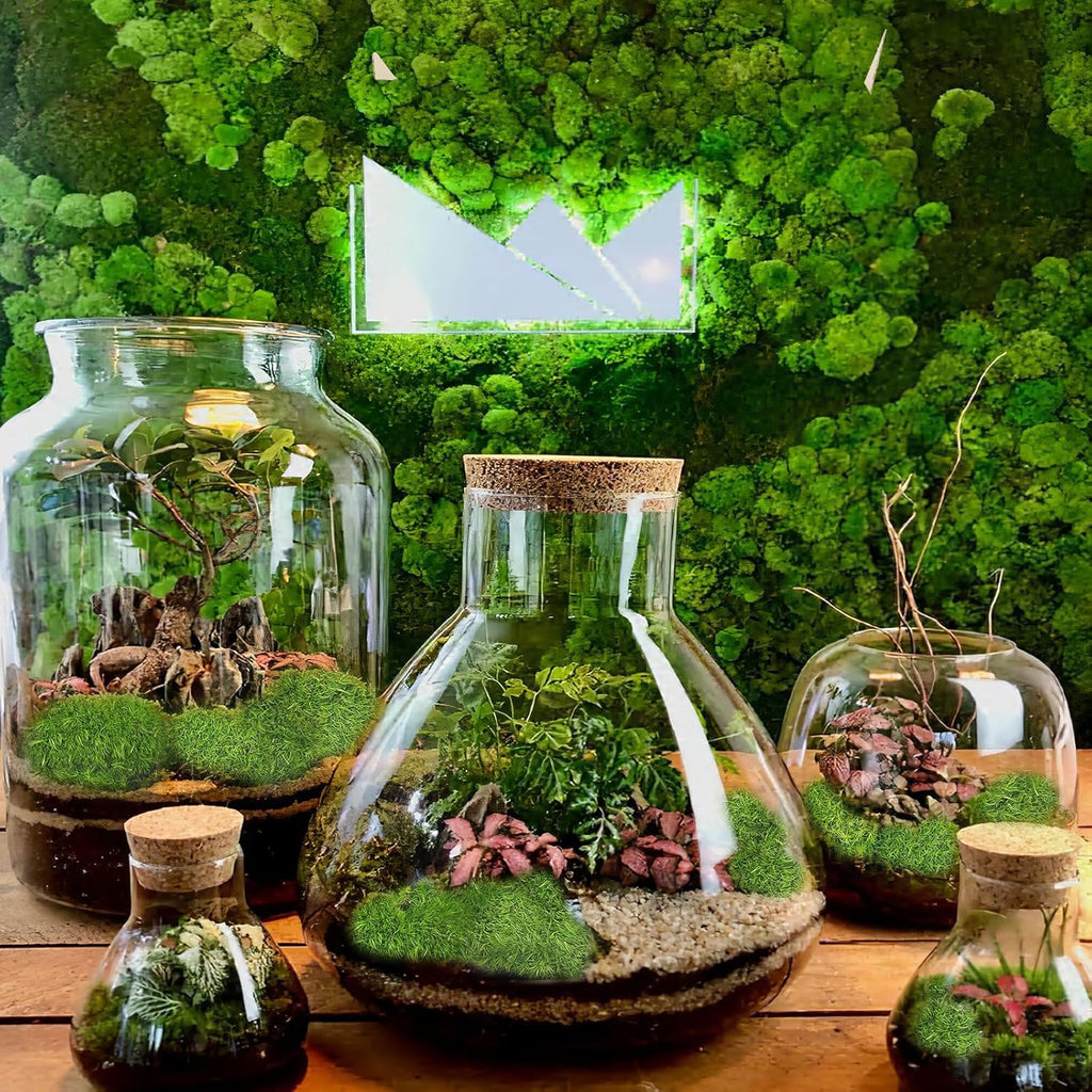 Preserved Pillow Moss Bulk Green Moss Balls for Bowls Waterproof 1.08 sq.ft Natural Green Decorative Preserved Pole Moss Pillow for Wall Art Terrariums Crafts Fairy Gardens Pot Plants Easter