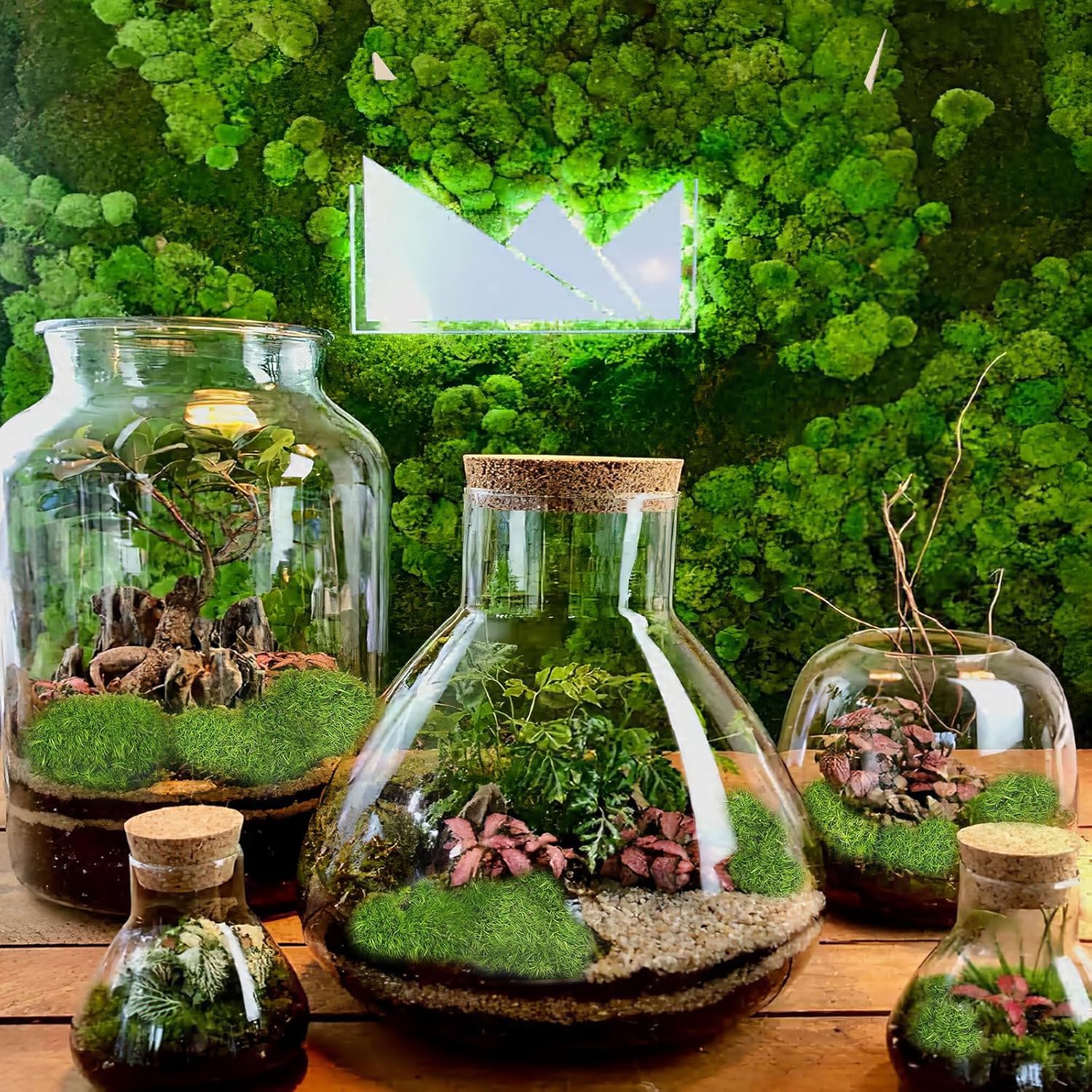 Preserved Pillow Moss Bulk Green Moss Balls for Bowls Waterproof 1.08 sq.ft Natural Green Decorative Preserved Pole Moss Pillow for Wall Art Terrariums Crafts Fairy Gardens Pot Plants Easter