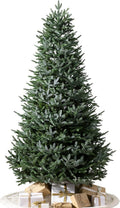 Balsam Hill European Silver Fir - Elegant Artificial Christmas Tree with True Needle Foliage Available Unlit or with LED Clear Lights, Unlit, 9'