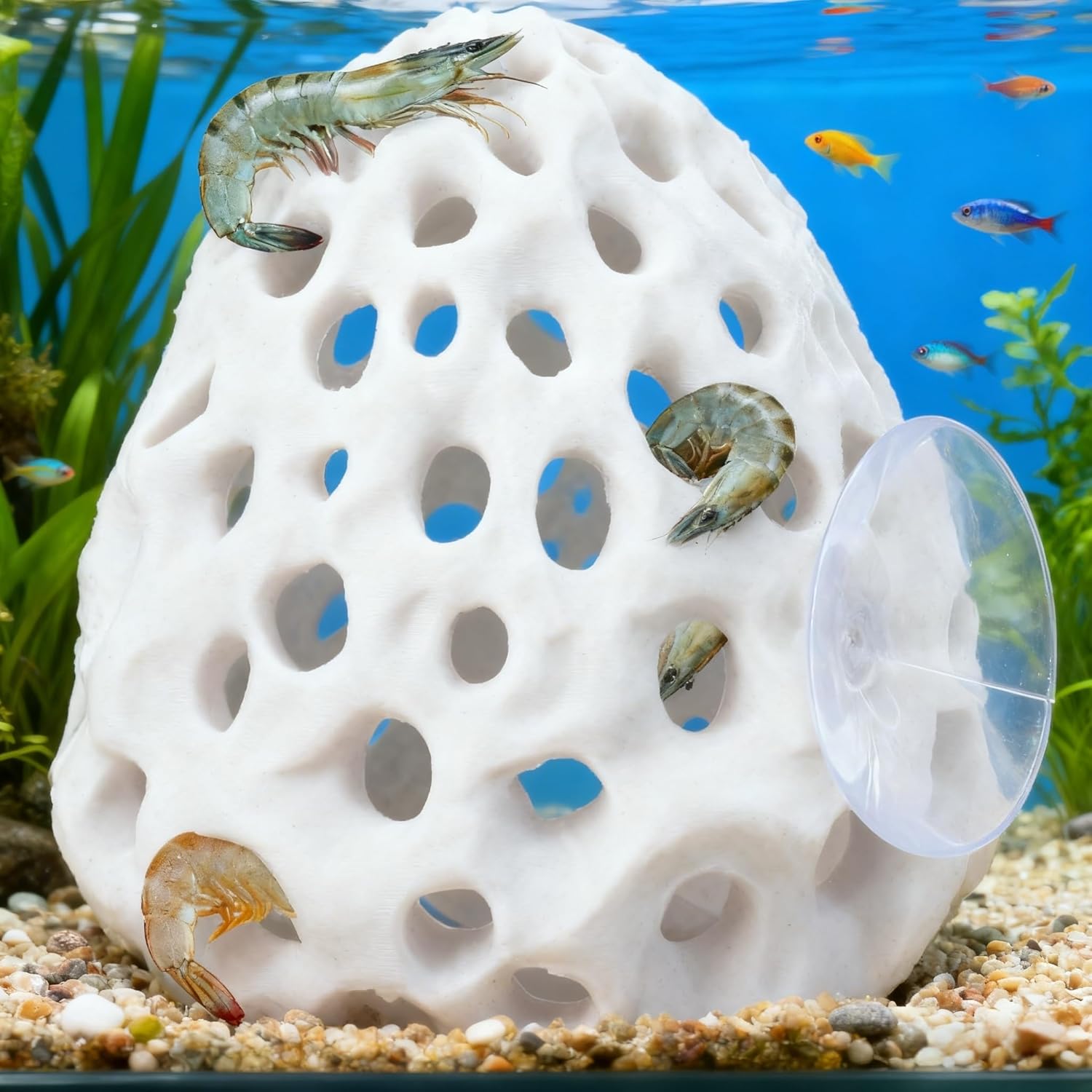Betta Fish, Shrimp Hideout Aquarium Decor, Suction Cup Hiding Spot for Guppy Small Fish Resting Tank Accessory
