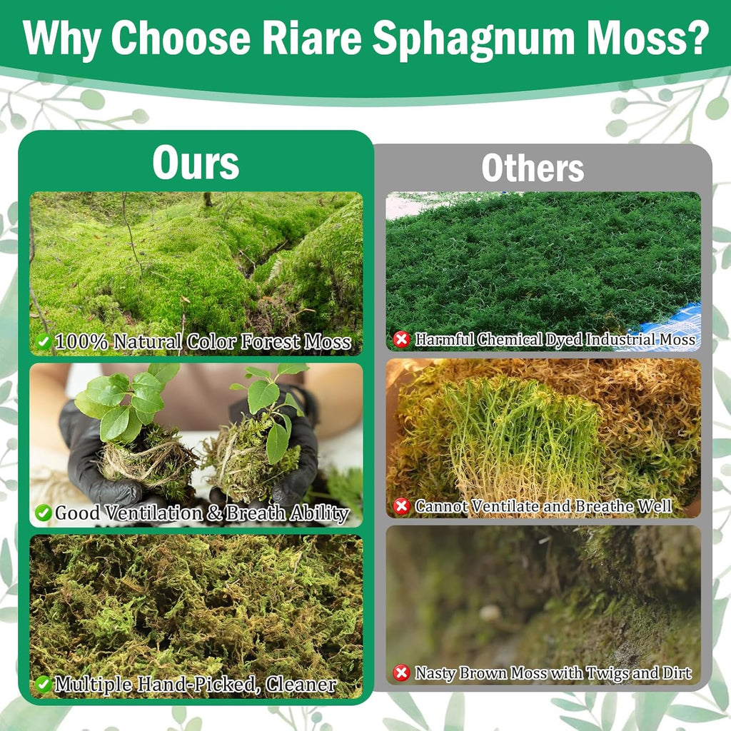 Riare 2.8LBS Premium Sphagnum Moss for Plants- 55QT Natural Dried Plant Moss for Potted Plants, Orchid Moss for Repotting, Soft Green Decorative Moss for Succulents, Reptiles & DIY Crafts