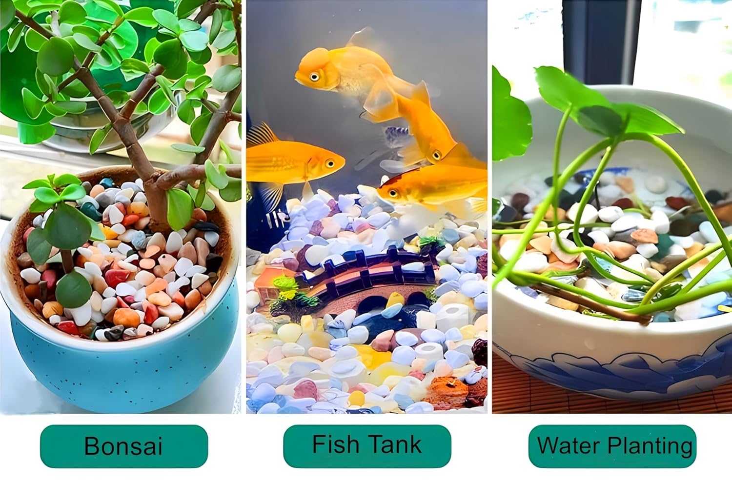 Small Aquarium Substrate, River Rock for Plants Indoor, Pea Gravel for Landscaping, Pebbles for Plants, Aquarium Rocks for Fish Tank (1Lb)