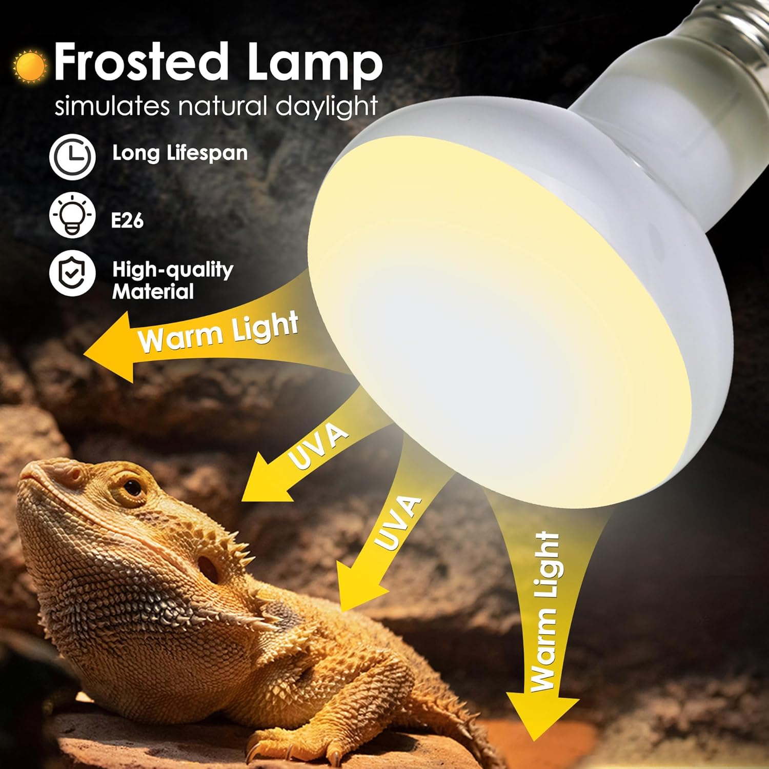 Reptile Heat Lamp Bulbs 2-Pack - Daylight & Nightlight Combo for Terrarium - Basking Bulb for Bearded Dragons, Turtles, Snakes & Lizards - Dual Day/Night Cycle - E26 Base 110V
