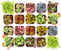 Shop Succulents Endless Summer Succulent Pack Collection - Live Mini Succulent Plants, Low Maintenance, Colors & Textures - Wedding and Party Favors, Gift & Garden, Pack of 64