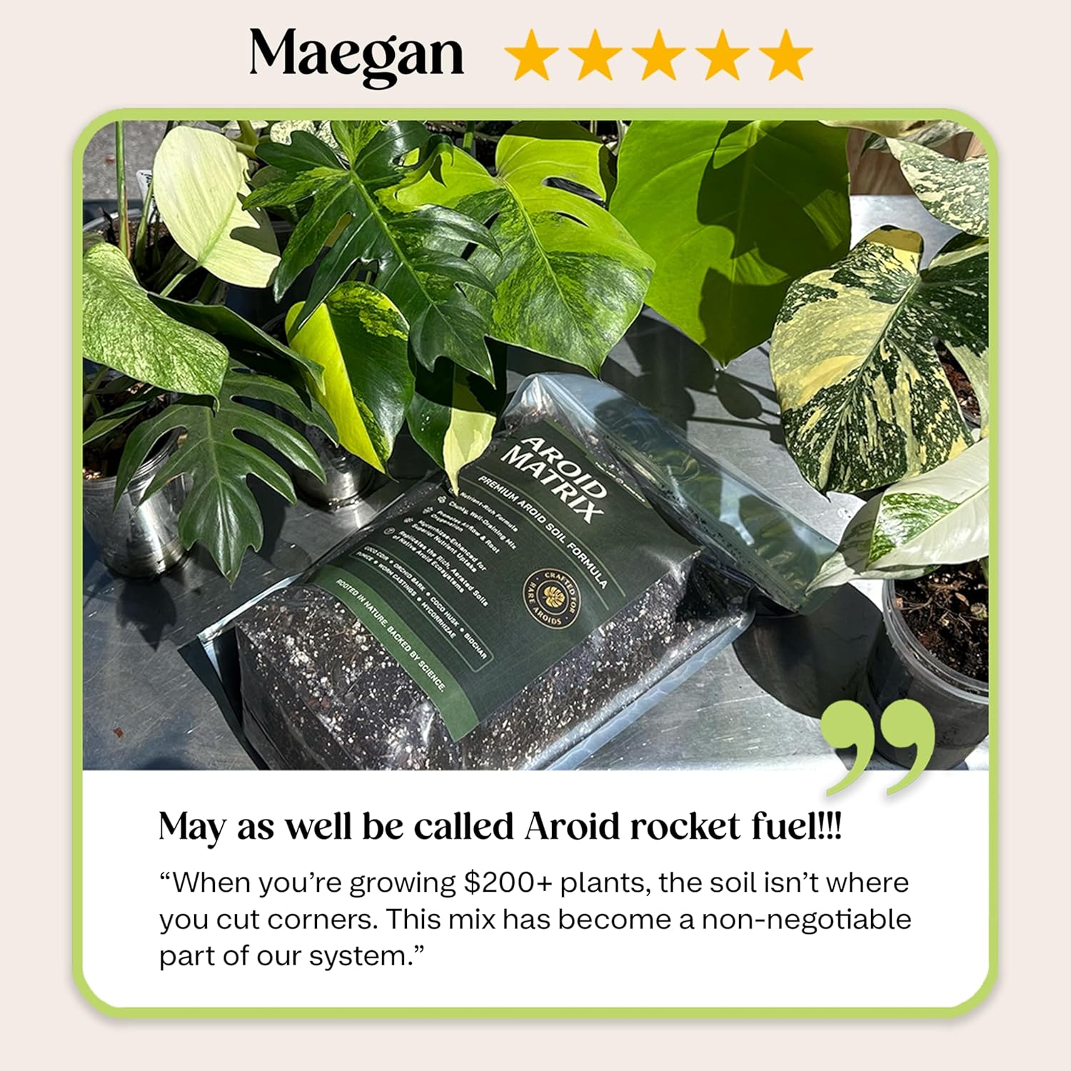 Premium AROID Soil Blend for Monstera, Philodendron, Alocasia, Anthurium – Chunky, Optimally Aerated Soil – Organic & Ready to Use – Supercharges Root and Foliage Growth - (2QTS)