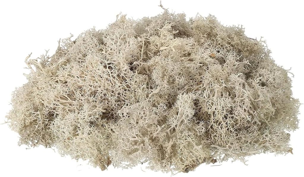uxcell Preserved Reindeer Moss, 17.6oz Fake Moss for Crafts Artificial Dried Moss for Decoration Terrariums Potted Plants, Cream