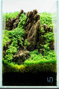 UNS Ultra Clear Rimless Tank - 5.9GAL | 22.5L - 9.84x9.84x14.17 | 25x25x36 CM, 5mm Glass Thickness, Leveling Mat Included - Low Iron, High Clarity Fish Tank w/ 45° Mitered Edge - [25T]