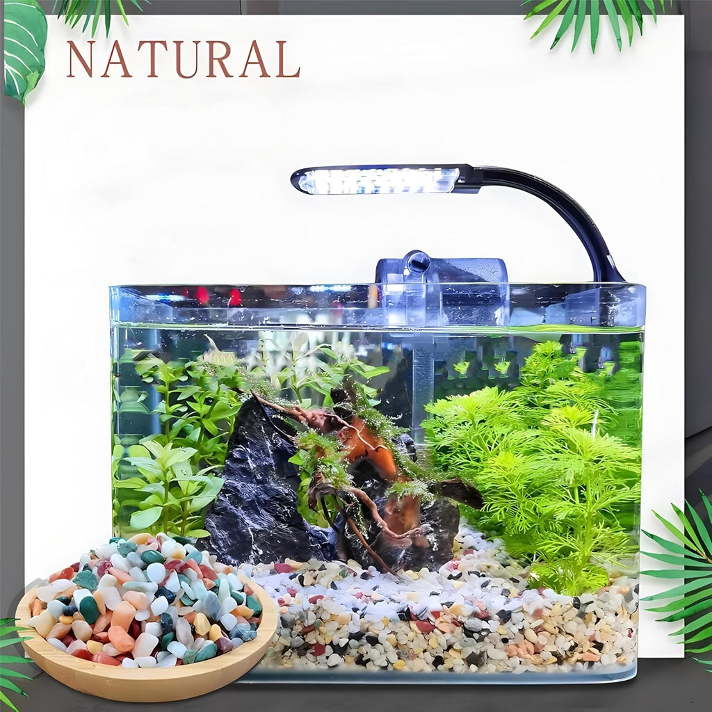 Small Aquarium Substrate, River Rock for Plants Indoor, Pea Gravel for Landscaping, Pebbles for Plants, Aquarium Rocks for Fish Tank (1Lb)