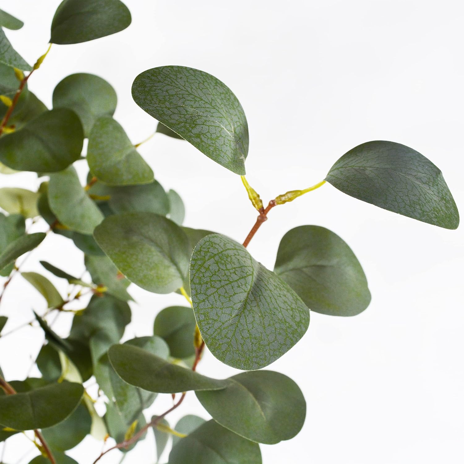 Artificial Eucalyptus Tree, 6ft Tall Fake Eucalyptus Plant with Basket, Green Silver Dollars Silk Leaves Faux Tree for Home Office Livingroom Floor Decor Indoor