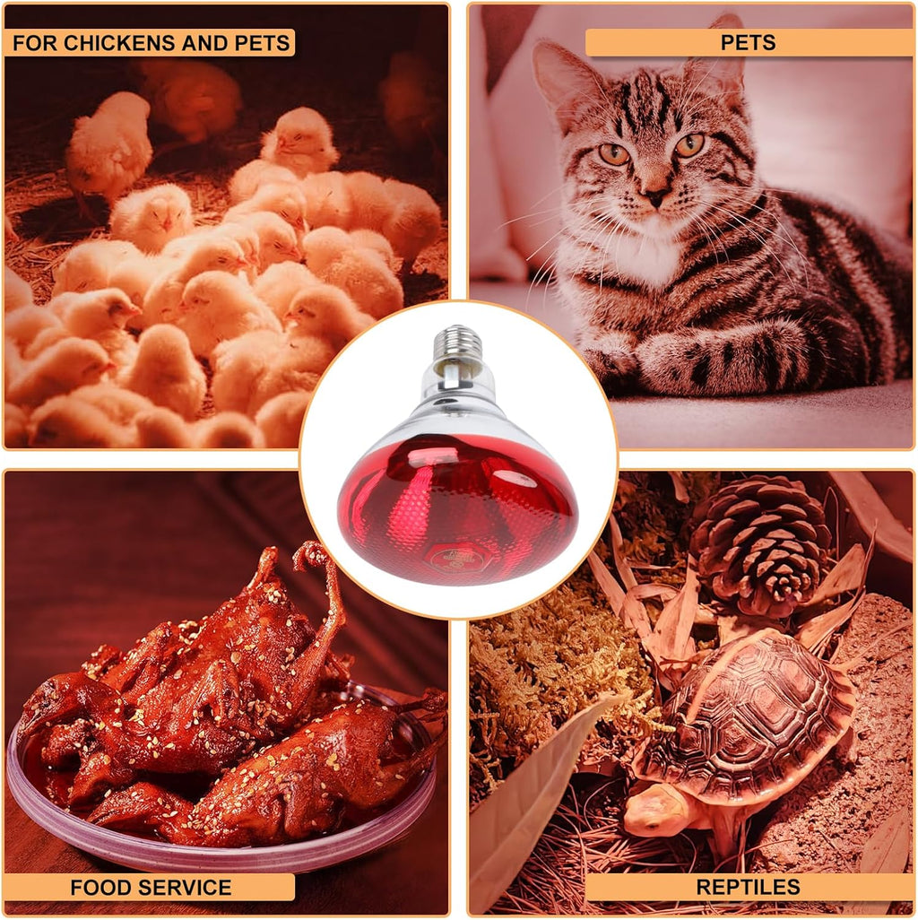 250W Red Heat Lamp Bulbs for Chicken,Infrared Flood Light Heat Lamp Bulb, Incandescent Light Heat Lamps for Chicks, Reptile, Pets, Par38 Glass E26 Base