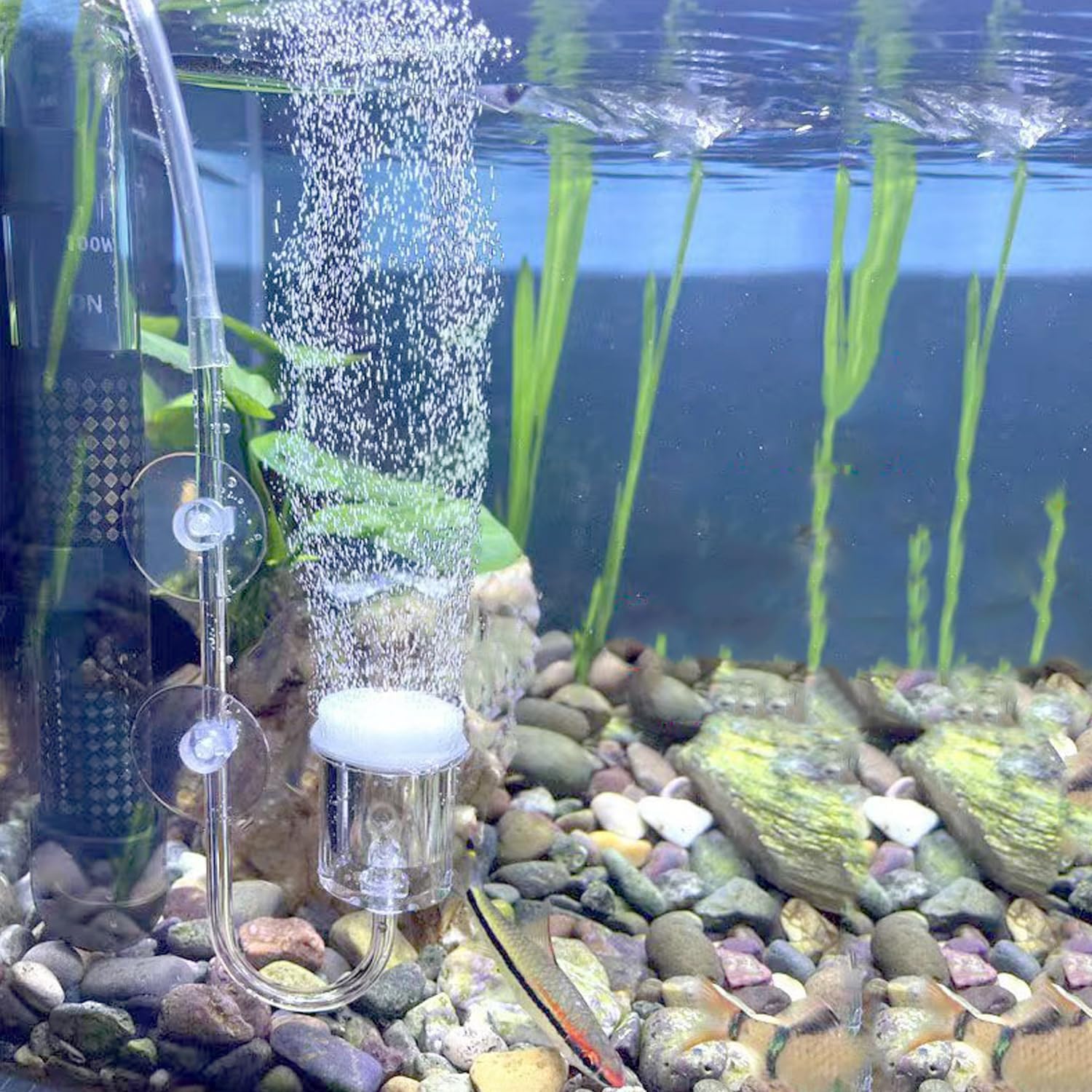 Aquarium Air Stone, Bubbler for Aquarium Fish Tank, High Dissolved Oxygen Diffuser Bubbler with 1 Check Valve, 2 Suction Cup for Aquarium (1 Inch)
