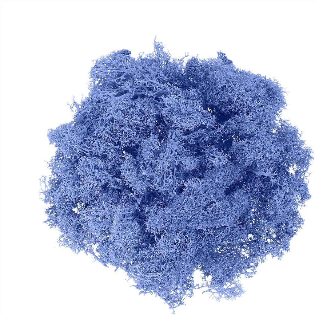 uxcell Preserved Reindeer Moss, 7oz Fake Moss for Crafts Artificial Dried Moss for Decoration Terrariums Potted Plants, Sky Blue