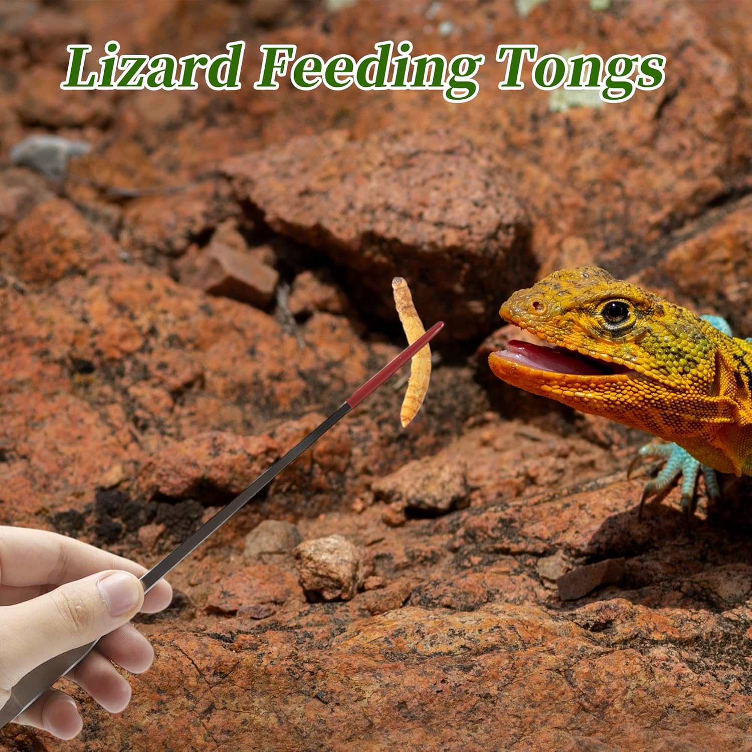 Reptile Feeding Tongs, Stainless Steel Lizard Feeding Tongs, Aquarium Straight Feeding Tweezers for Reptiles with Rubber Tip, Terrarium Feeding Tongs for Gecko, 10.63" Length, Red