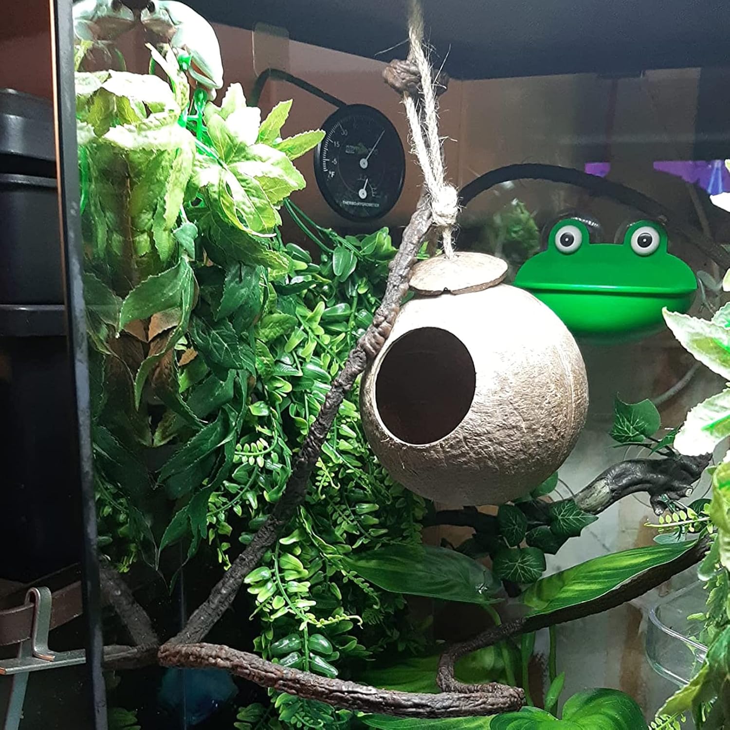 4 PCS Crested Gecko Coconut Hide Natural Lizard Coco Hut Reptile Hanging Nest Flexible Vine Habitat Decoration Bearded Dragon Terrarium Accessories for Tortoise Chameleon Snake Spider