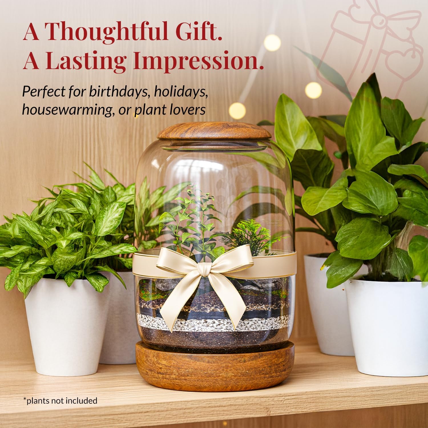 Exclusive Glass Terrarium, Beautifully Enhanced by a Natural Wood lid and Base. Excellent for Plants and Decoration. for Home and Office. Size: 6.3 Diameter by 8.7 Tall (Inches)