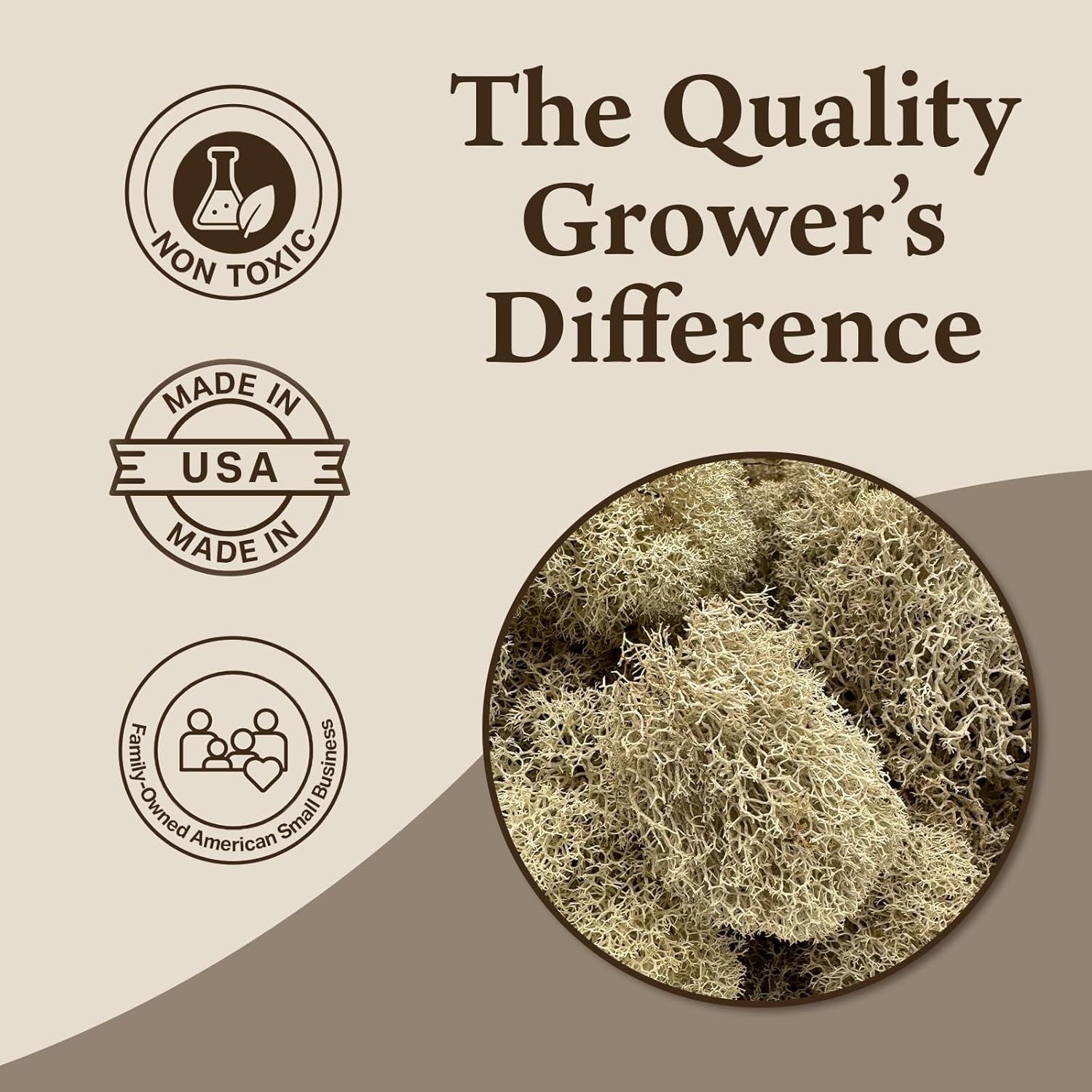 Preserved Reindeer Moss - Moss for Crafts, Home Decor, Art, Design & DIY Projects - Non-Toxic - USA Made (Natural, Small)