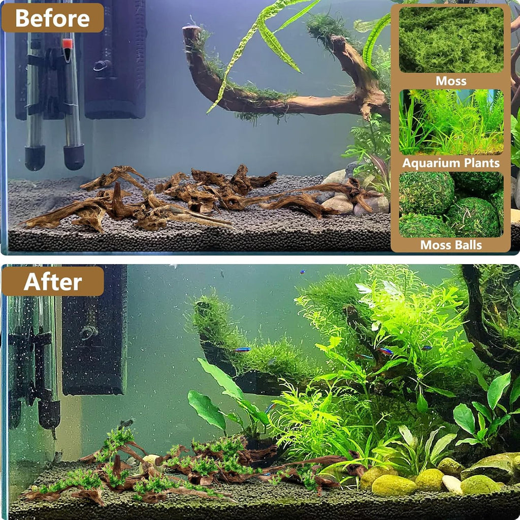 Tfwadmx Natural Small Coral Driftwood for Aquarium Decor 6 Pcs 4-6" Fish Tank Decorations Reptile Decor Assorted Driftwood Branch Reptile Tank Wood Decor