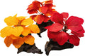 M2cbridge Artificial Fish Tank Plants Silk Aquarium Plastic Plant Aquatic Water Grass Foreground Decor(3PCS Small Colorful)