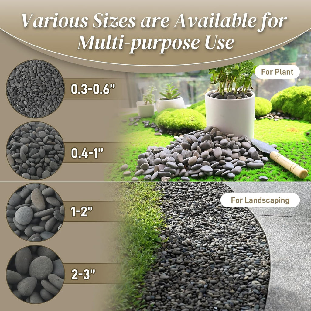 5 lbs Natural Mexican Beach Pebbles, 1-2 Inch Large River Rocks for Plants and Landscaping, Decorative Stone for Fish Tank Aquarium Fountain Garden Paving Walkways Pathways Backyard, Grey