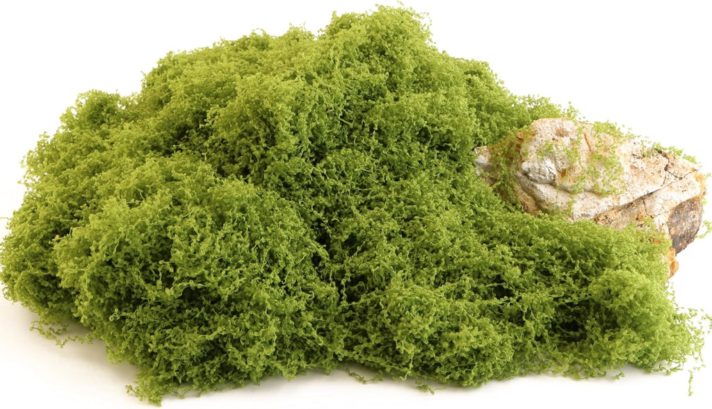 Caiyjhao Artificial Green Moss is Used for Potted Plants, and Moss Crafts are Used for Fairy Tale Garden Houses, Garlands, Glass Container Fillers and Wedding Wall Decoration (7.05 Ounces)