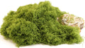 Caiyjhao Artificial Green Moss is Used for Potted Plants, and Moss Crafts are Used for Fairy Tale Garden Houses, Garlands, Glass Container Fillers and Wedding Wall Decoration (7.05 Ounces)