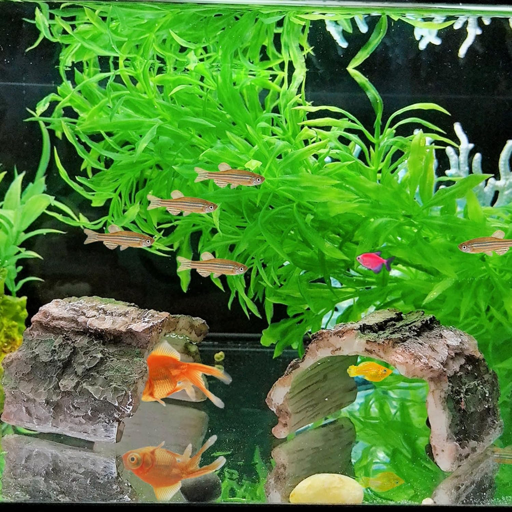 2 Pack Betta Log Resin Hollow Tree Trunk Ornament, Aquarium Hideout Reptile Cave Ornament Terrarium Tank Decoration for Fish Shrimp or Small Reptile Turtle Tarantula Spider Hermit Crab