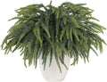 HOHOTIME 50 Pcs Norfolk Pine Stems, Christmas Greenery Stems Branches for Vase, Artificial Pine Picks, Fake Pine Stems Decoration,Faux Pine Sprigs for Garland Wreath Tree Home DIY Xmas Decor