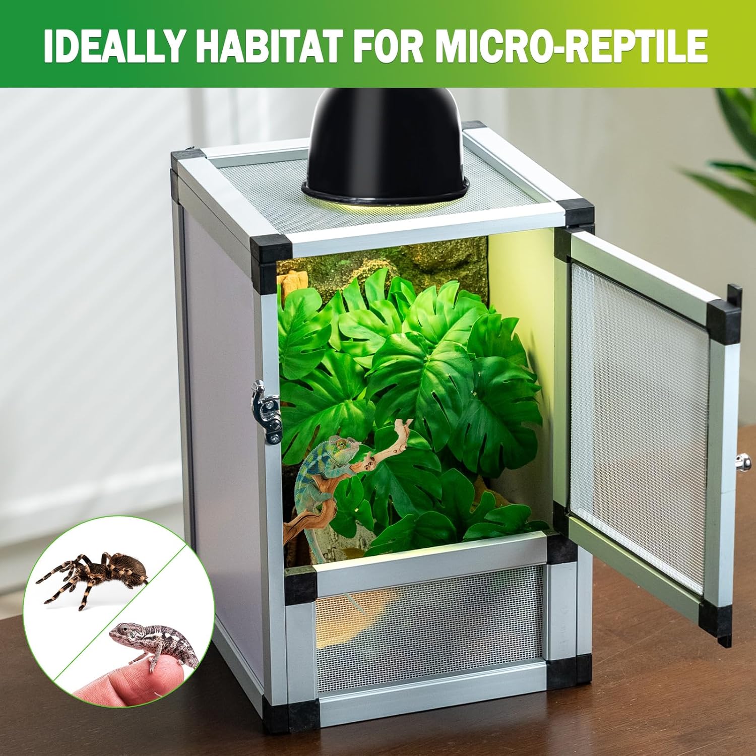 Jumping Spider Enclosure, Toxirium Small Reptile Cage 8" x 8" x 12", Hatching Habitat, Dual Doors, Screen & Acrylic Ventilation, Easy Assembly, for Lizards, Frogs, Geckos