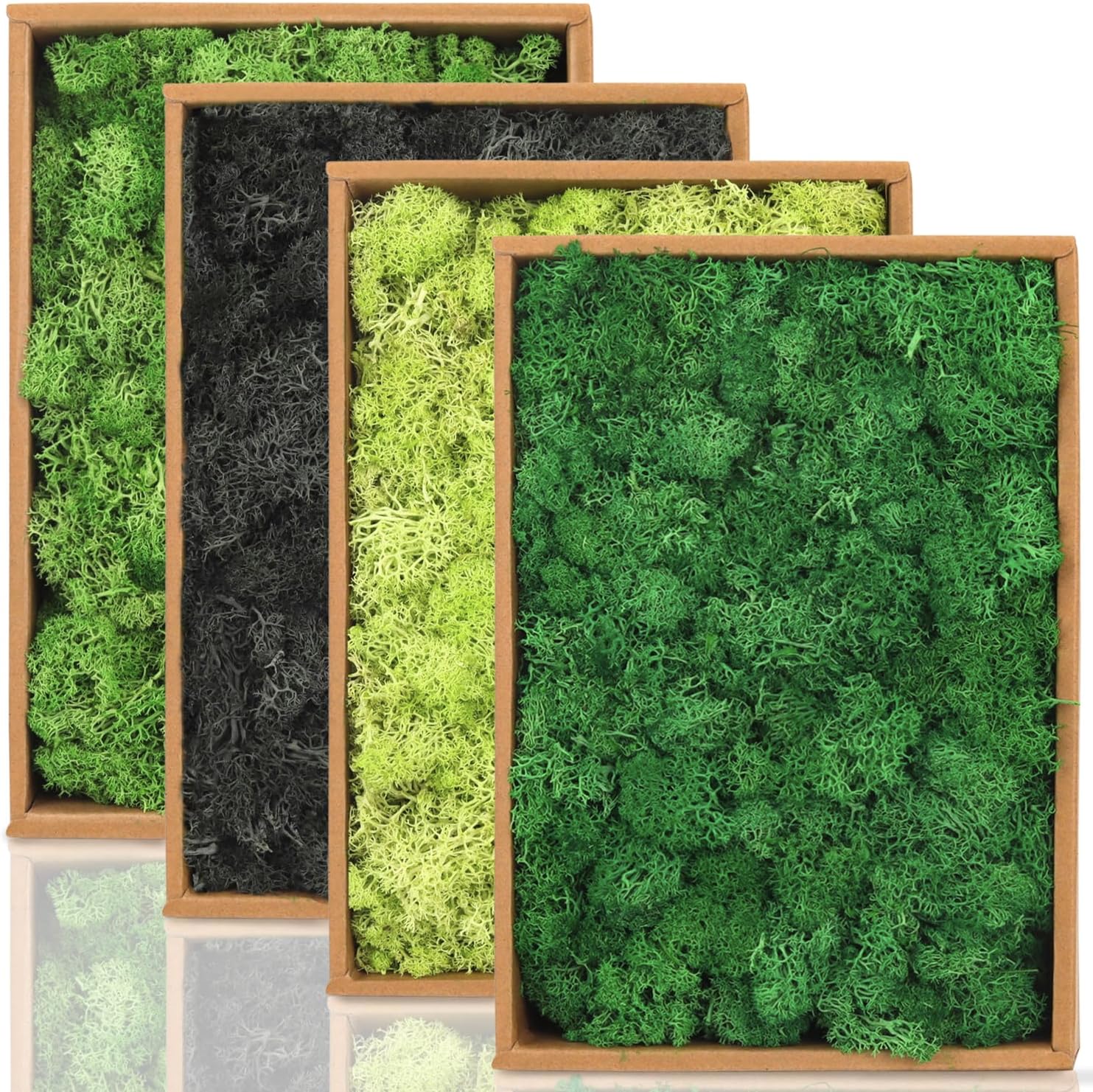 Preserved Moss Natural Dried Reindeer Moss, 1.76 lb Multicolored Moss for Crafts Floral Moss for DIY Arts Wall Home Office Terrariums Wedding Centerpieces Decoration