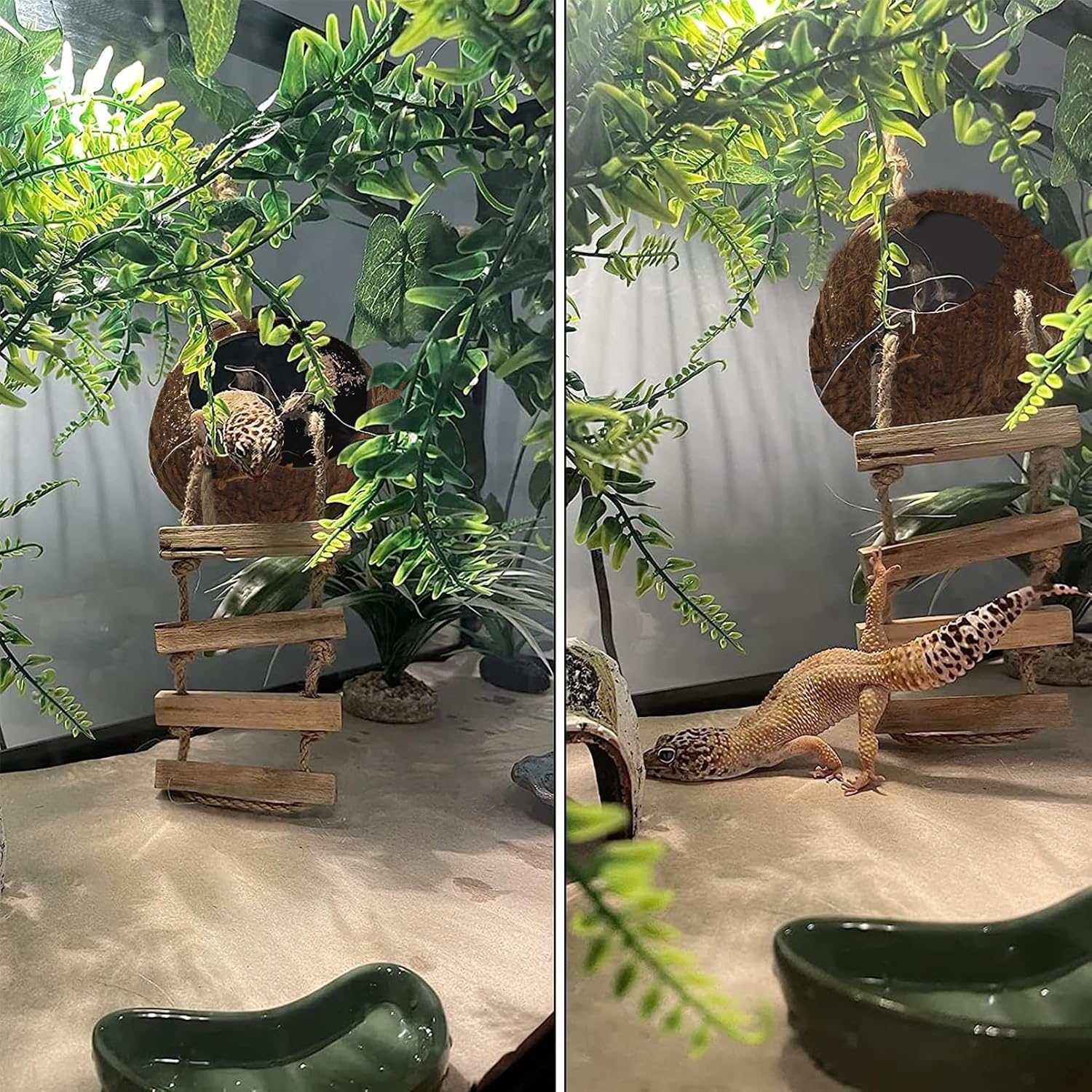 5PCS Coconut Hut for Gecko, Lizard Coco Den with Ladder and Reptile Hammock Bearded Dragon Tank Accessories Climbing Hanging Plants Jungle Vine Flexible Reptile Leaves Decor