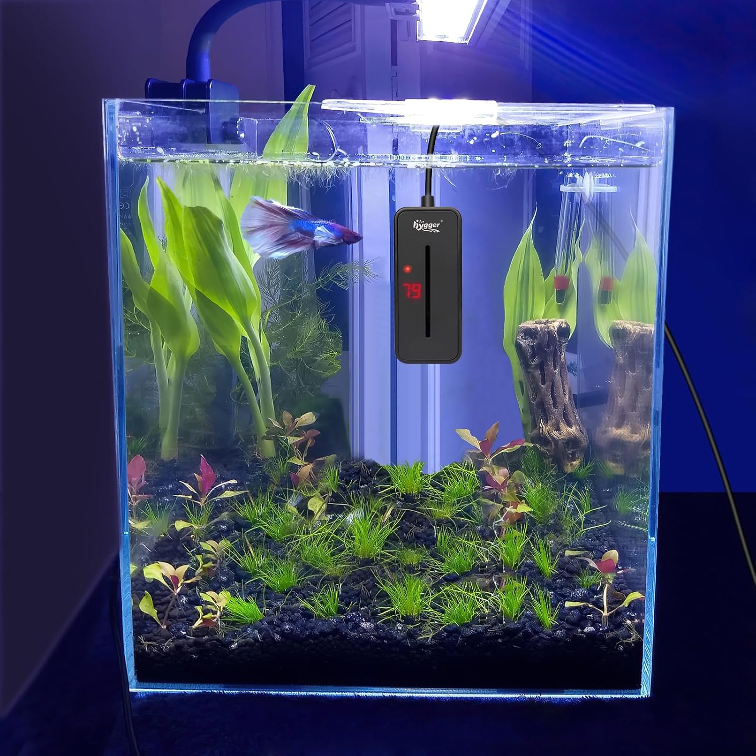 hygger Small Submersible Aquarium Heater 100W Mini Betta Fish Tank Heater with LED Display Adjustable Temperature for 10-20 Gallon Freshwater Saltwater Coral Reef Tanks