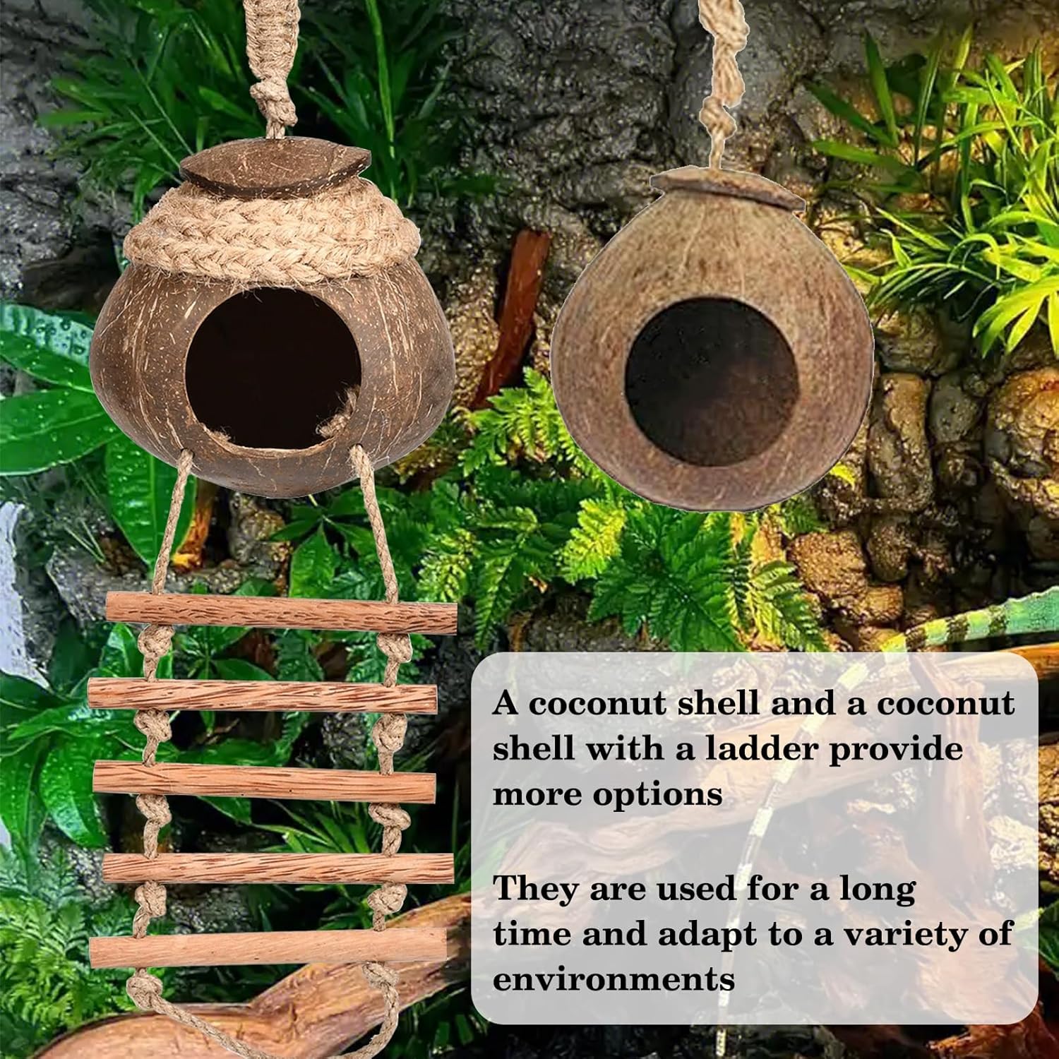 Hamiledyi Lizard Coco Den Reptile Hideouts Gecko Coconut Shell Hut Coconut hut for Geckos Bearded Dragon Tank Accessories Coconut Lizard Hut with Ladder - Natural Coconut Fiber
