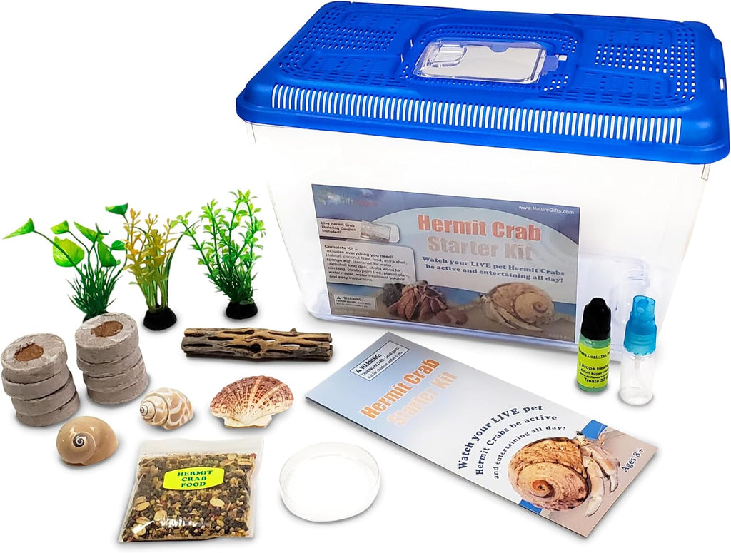 2 Live Crabs Ship with Order+Large Hermit Crab Tank 12"x8"x6" Starter Kit with Accessories: Food, Shells, Climbing Toys and More