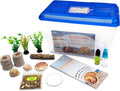 2 Live Crabs Ship with Order+Large Hermit Crab Tank 12"x8"x6" Starter Kit with Accessories: Food, Shells, Climbing Toys and More