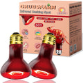 60W Compact Red Infrared Heat Lamp Bulb – Provides All-Day Heating to Support Metabolism, Digestion & Appetite, Basking Spot Light for Reptiles, Lizards, Terrarium & Brooder Heater, 2.5"