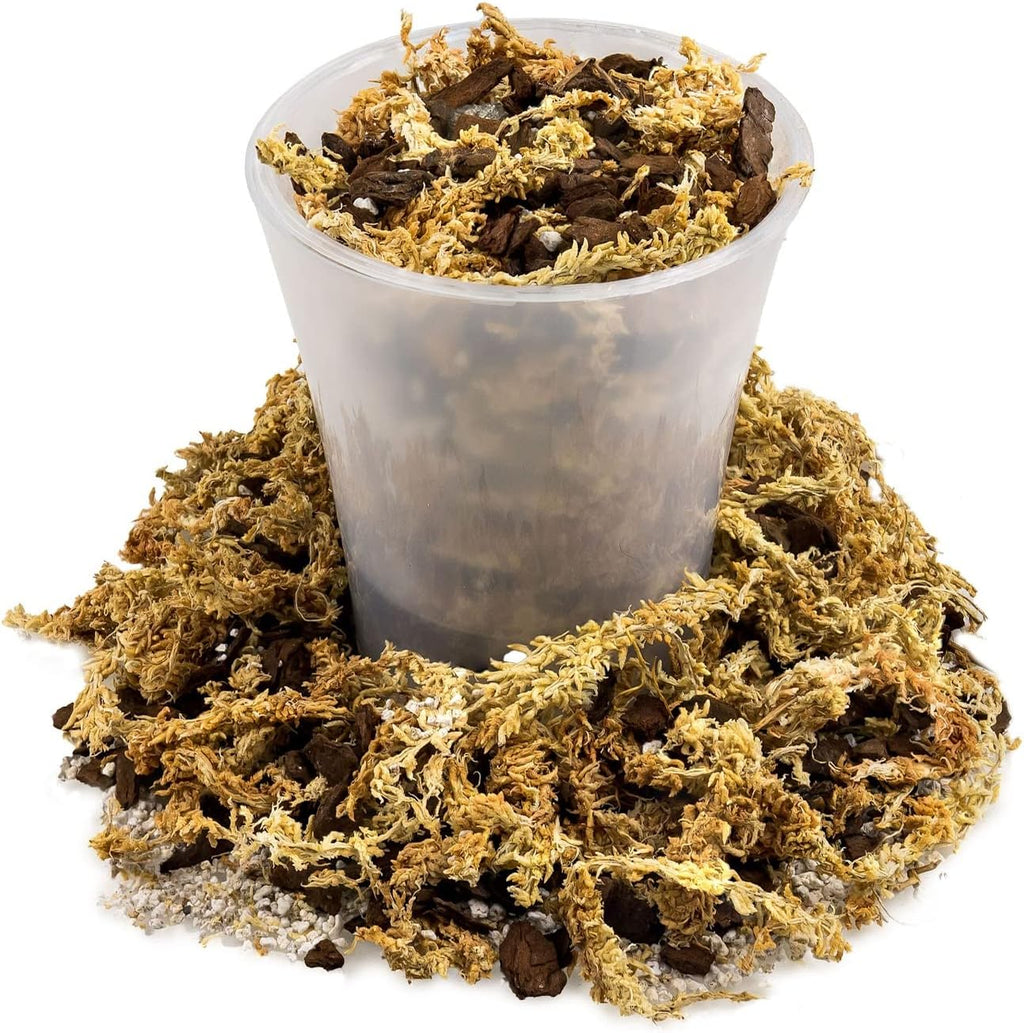 Premium Sphagnum Moss, Perlite and New Zealand Pine Bark Blend for Carnivorous Plants - Perfect for Venus Fly Traps, Pitcher Plants, Sarracenia, Butterworts, and Sundews by GARDENERA - 5 Quart Bag