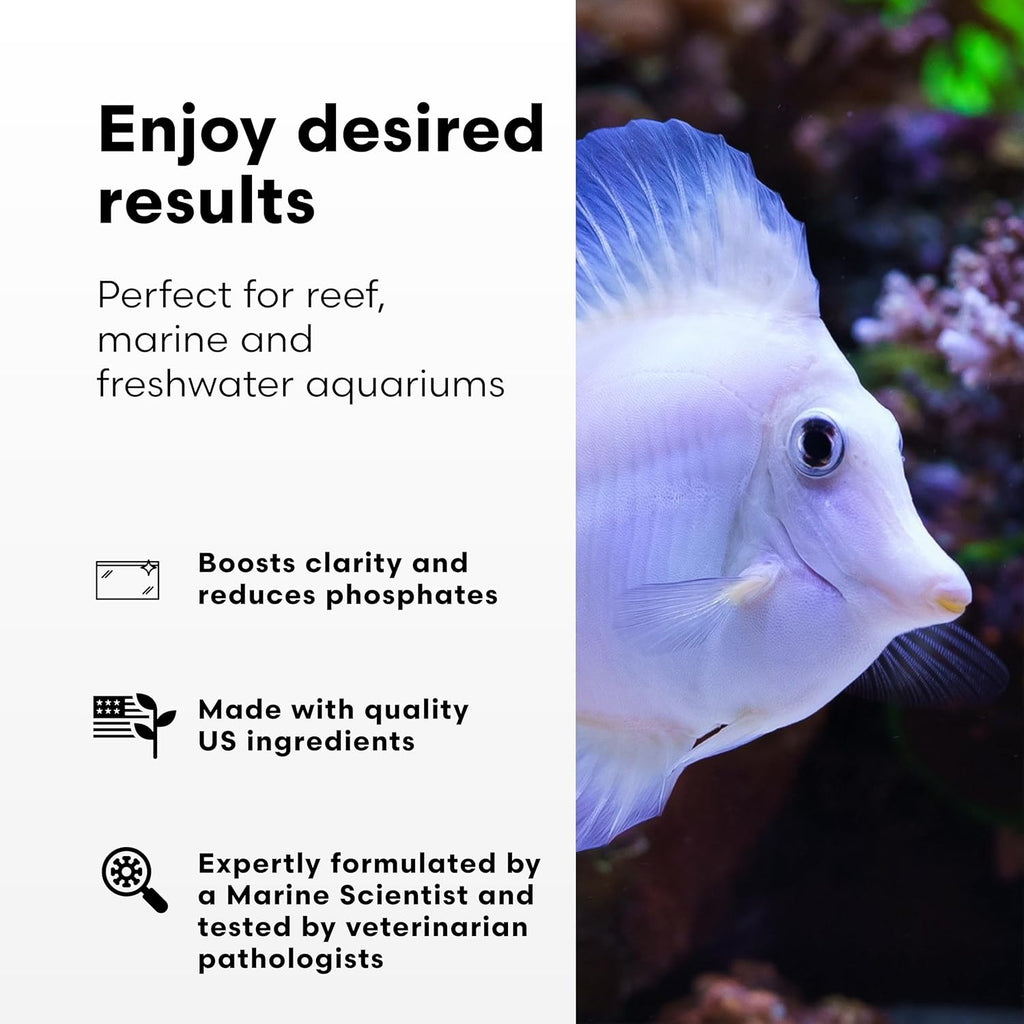 Brightwell Aquatics XPort BIO Brick – Ultra-Porous Aragonite-Infused Ceramic Biological Media for Reef, Marine & Freshwater Aquariums – Boosts Clarity, Removes Ammonia, Nitrites, Phosphates