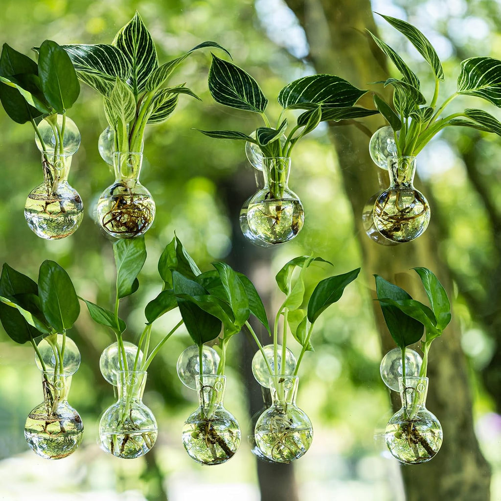 Window Propagation Stations, Bulb Vase with Suckion Cups Hooks, Easy to Install Window Hanging Planter, Glass Terrarium Planters for Water Plant Propagation & Rooting Cuttings (9)
