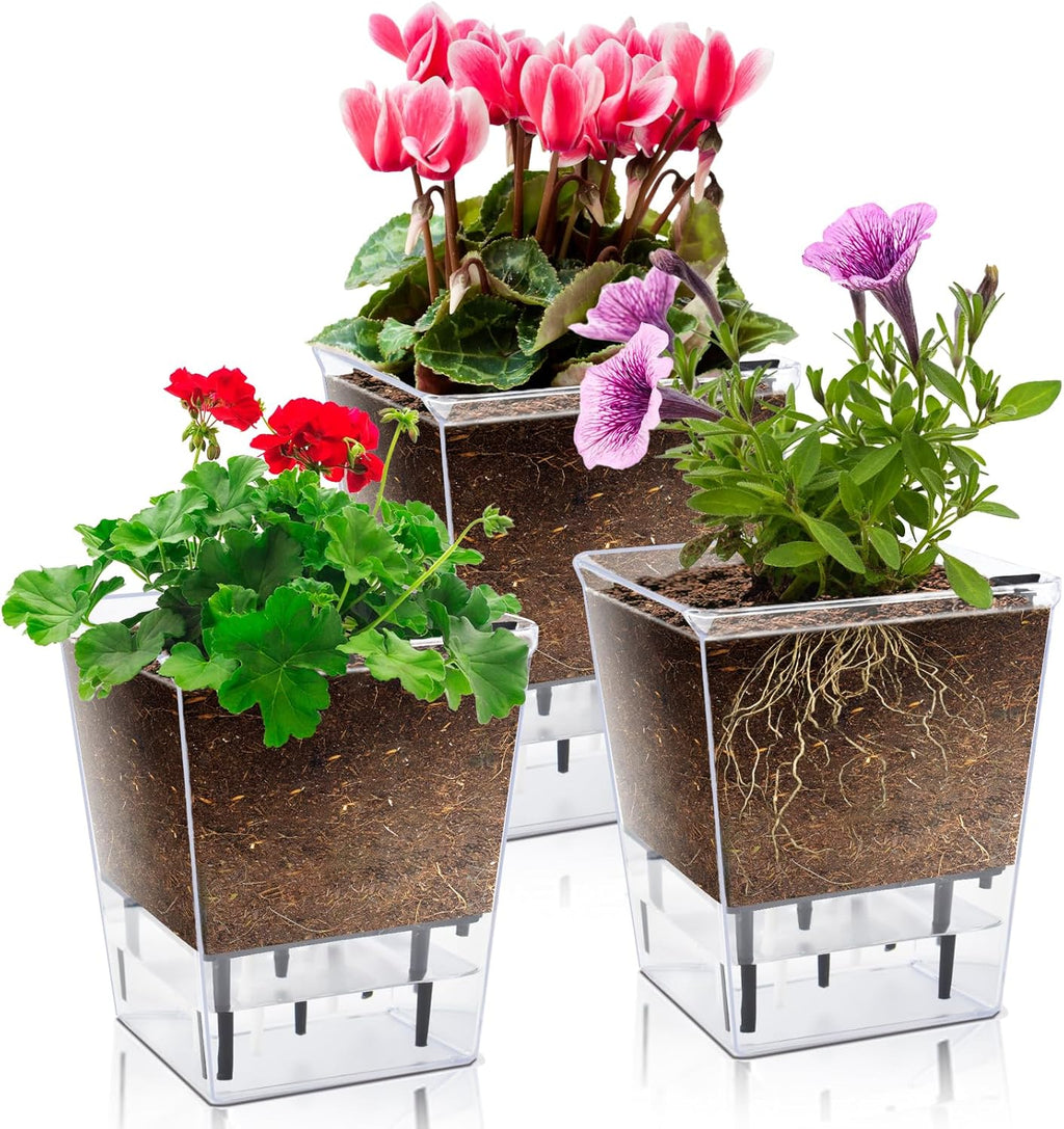 Self Watering Pots Set, 3 Pack Self Watering Pots for Indoor Plants, Clear Planter Pot with Deep Reservoir for Spider Plant, Orchid, African Violet (Clear, 3 Medium)
