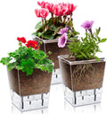 Self Watering Pots Set, 3 Pack Self Watering Pots for Indoor Plants, Clear Planter Pot with Deep Reservoir for Spider Plant, Orchid, African Violet (Clear, 3 Medium)