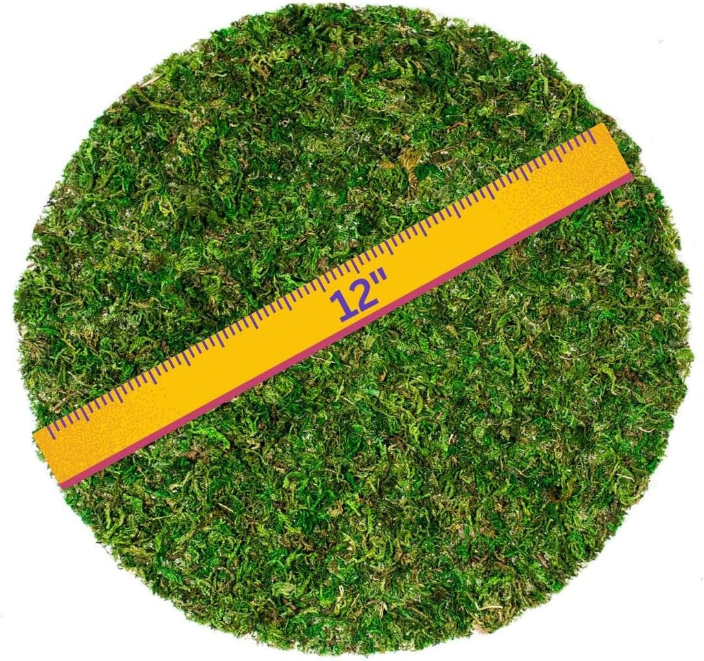 SuperMoss (26315) Moss Soil Toppers (Place Mats), Fresh Green, 12" (3 units)