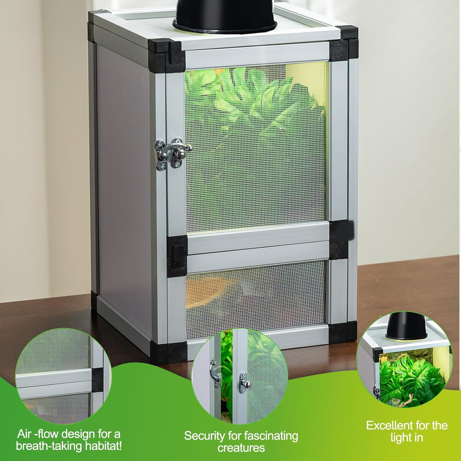 Jumping Spider Enclosure, Toxirium Small Reptile Cage 8" x 8" x 12", Hatching Habitat, Dual Doors, Screen & Acrylic Ventilation, Easy Assembly, for Lizards, Frogs, Geckos