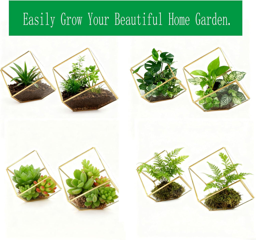 ELEGANTLIFE Glass Geometric Plant Terrarium,Succulent & Air Planter for Home Garden Office Decoration(Gold Cubic Set of 2)