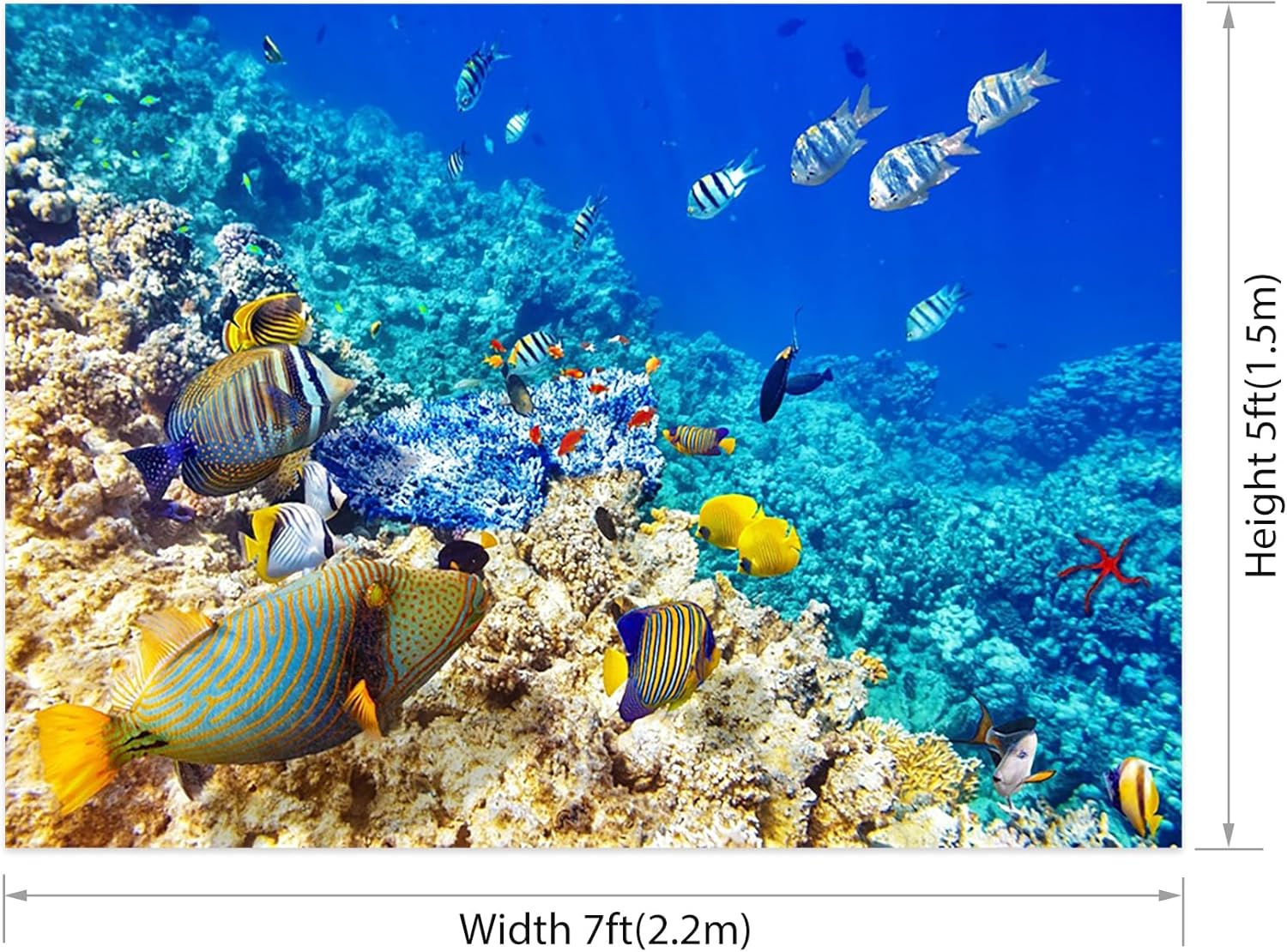 AOFOTO 7x5ft Coral and Tropical Fish in The Sea Backdrop Underwater Seascape Photography Background Marin Aquarium Ocean Diving Atoll Reef Summer Holiday Travel Photo Studio Props Vinyl Wallpaper